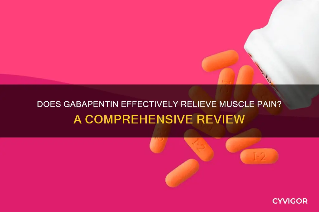 does gabapentin work for muscle pain
