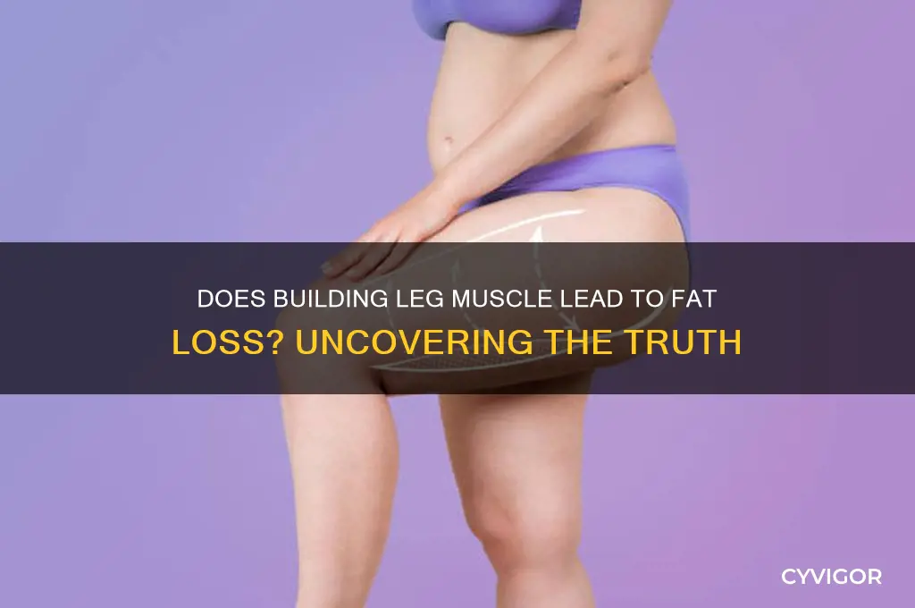 does gaining leg muscle loss fa5