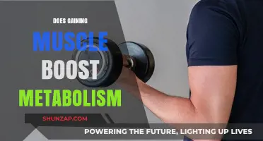 Does Building Muscle Increase Your Metabolic Rate? Facts Revealed