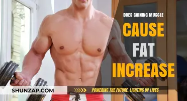 Muscle Gain: Friend or Foe to Fat Loss?