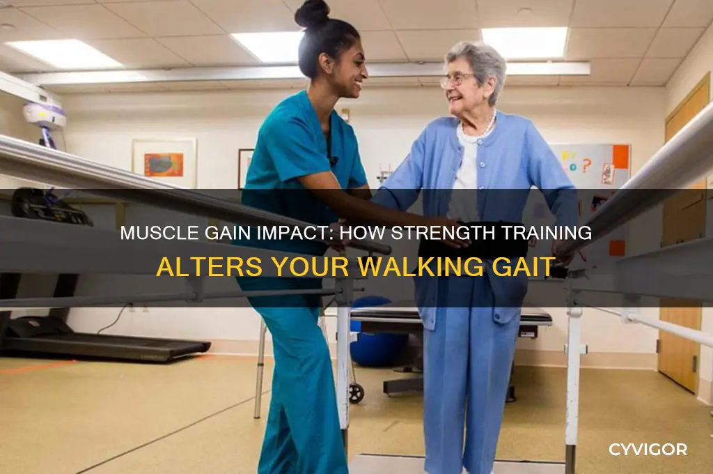 does gaining muscle change the way you walk