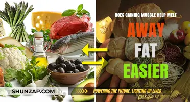 Muscle Gain and Fat Loss: How Strength Training Boosts Metabolism