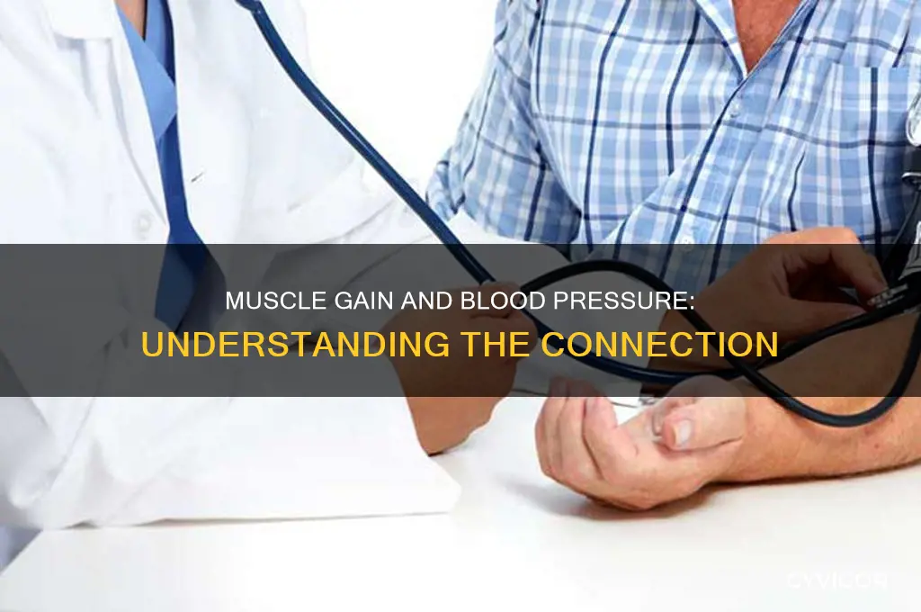 does gaining muscle increase blood pressure
