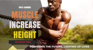 Does Building Muscle Affect Height? Unraveling the Myth and Facts
