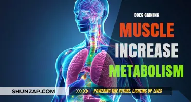Muscle Gain and Metabolism: How Strength Training Boosts Calorie Burn