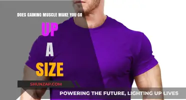 Muscle Gain and Clothing Size: Does Strength Training Impact Your Fit?