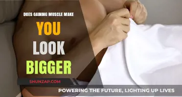 Does Building Muscle Increase Your Size? The Truth Revealed