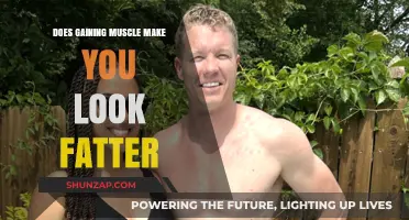 Does Building Muscle Make You Look Fatter? The Truth Revealed