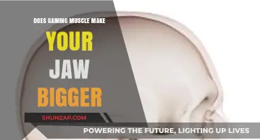 Does Muscle Gain Affect Jaw Size? Uncovering the Truth