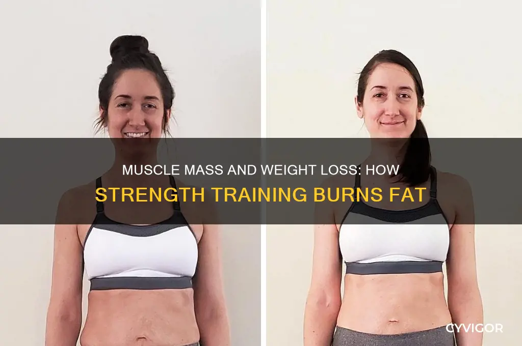 does gaining muscle mass help lose weight
