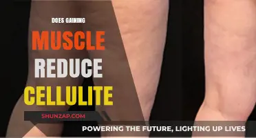 Can Building Muscle Effectively Minimize Cellulite Appearance? Find Out