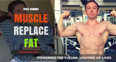 Muscle vs. Fat: Can Building Muscle Replace Body Fat?