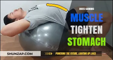 Can Building Muscle Help You Achieve a Tighter Stomach?