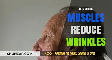 Muscle Gain and Skin Aging: Can Strength Training Smooth Wrinkles?