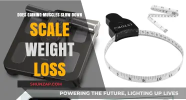 Muscle Gain vs. Scale Weight Loss: Unraveling the Fitness Myth