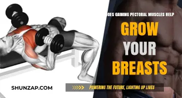 Pectoral Muscle Growth: Does It Enhance Breast Size Naturally?