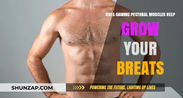 Pectoral Muscle Growth: Does It Enhance Breast Size Naturally?