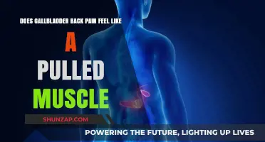 Gallbladder Back Pain vs. Pulled Muscle: How to Tell the Difference