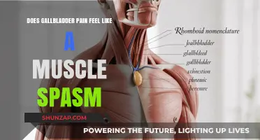 Gallbladder Pain vs. Muscle Spasm: Understanding the Difference