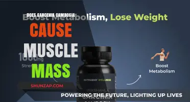 Garcinia Cambogia: Muscle Mass Miracle or Myth?
