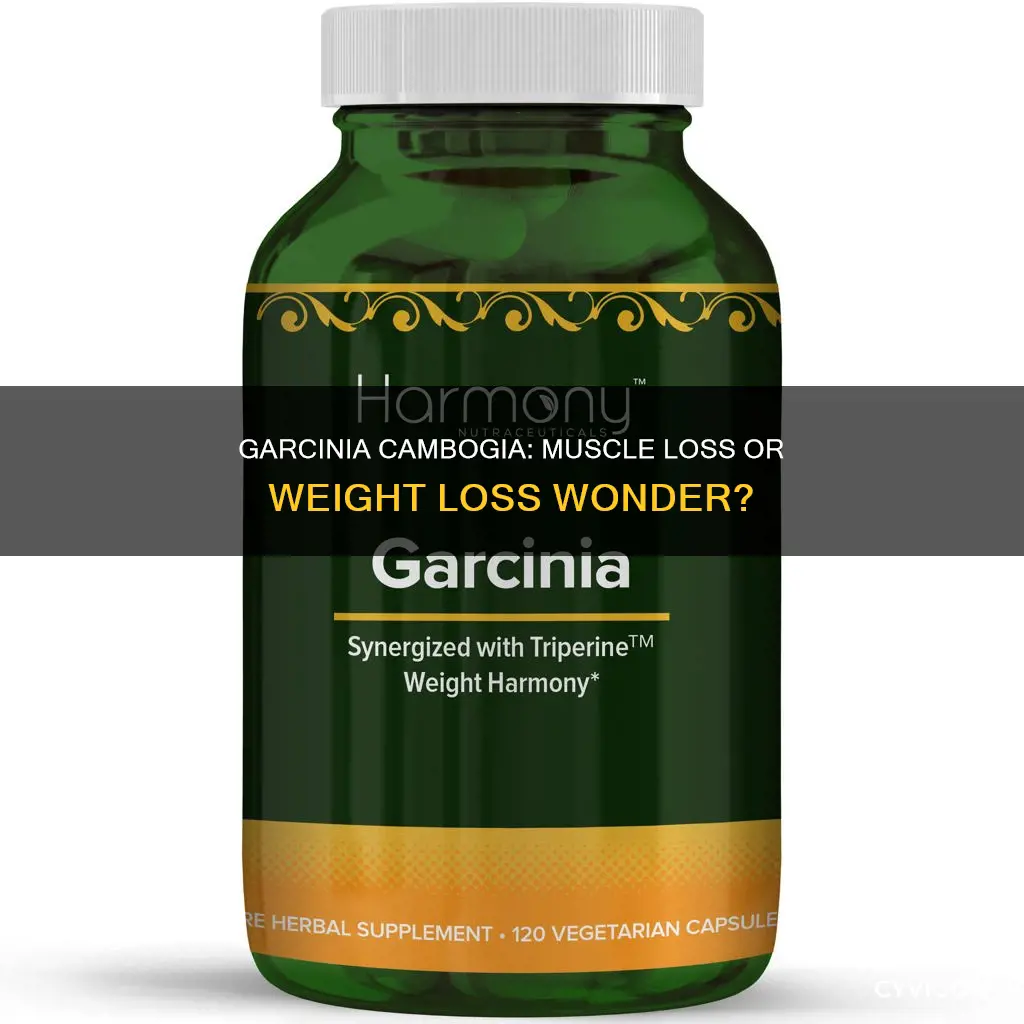 does garcinia cambogia cause muscle loss