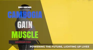 Garcinia Cambogia and Muscle Gain: Fact or Fiction?