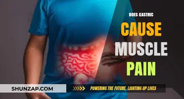 Gastric Issues: Can They Cause Muscle Pain?