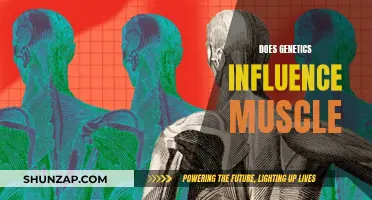 Genetics and Muscle Growth: What's the Link?