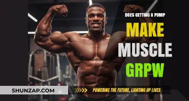 Pump Up Your Muscles: The Truth About Muscle Growth and Pumps