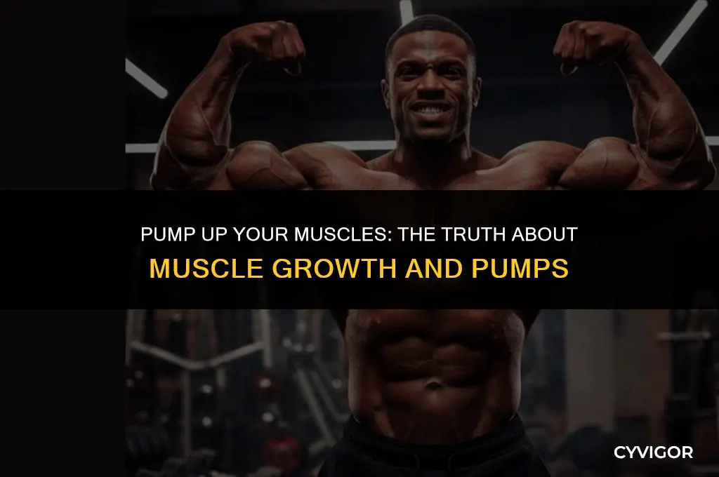 does getting a pump make muscle grpw