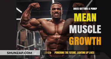 Pump Up Your Knowledge: The Truth About Muscle Growth and Pumps