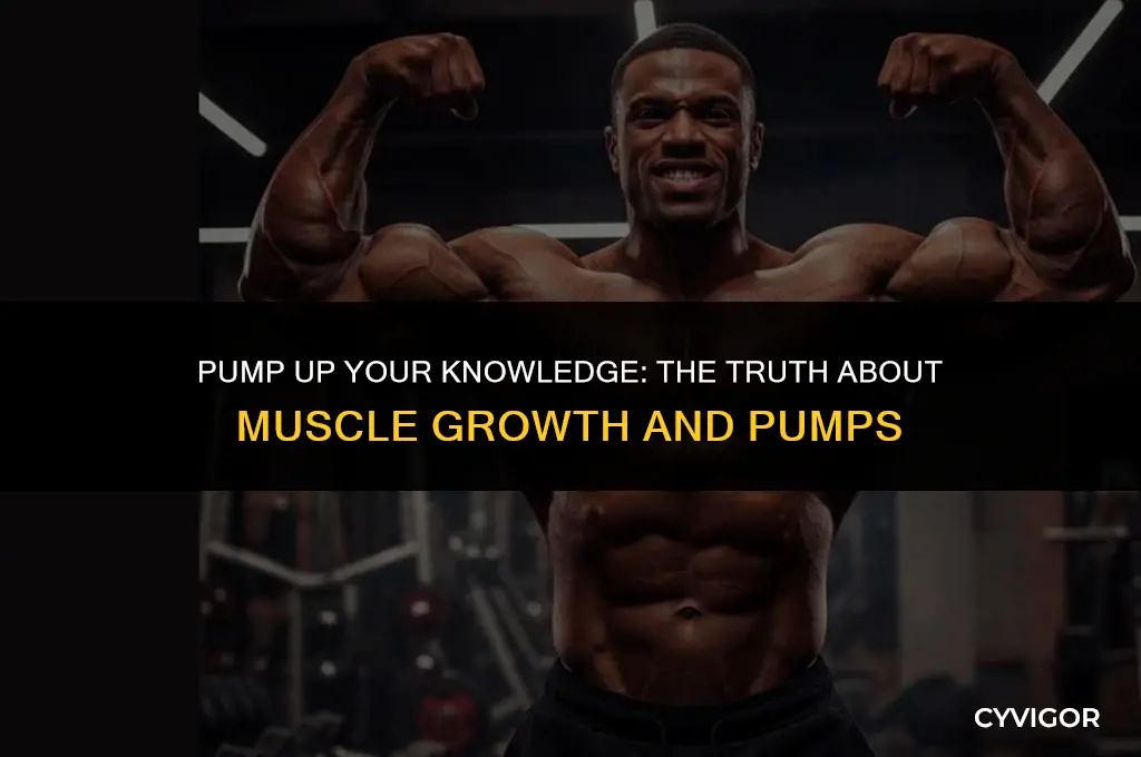 does getting a pump mean muscle growth
