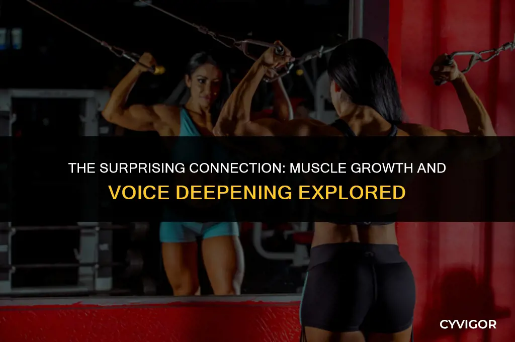 does getting bigger muscles deepen your voice