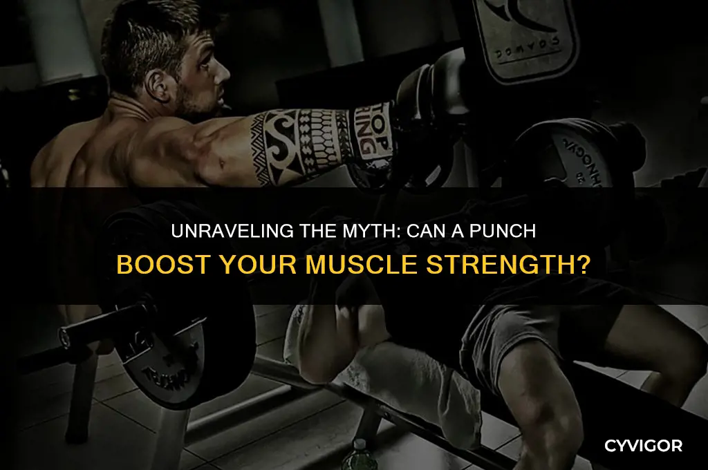 does getting punched make your muscles stronger