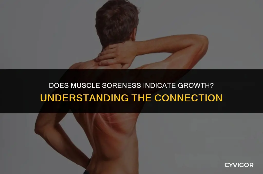 does getting sore mean your muscles are growing