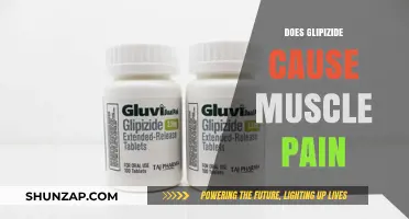 Glipizide: Understanding the Link Between Usage and Muscle Pain