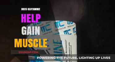 Glutamine for Muscle Growth: Fact or Fiction? Unveiling the Truth
