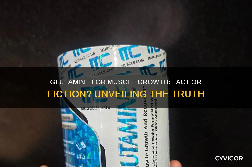 does glutamine help gain muscle