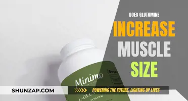 Glutamine's Impact: Muscle Growth and Size Enhancement