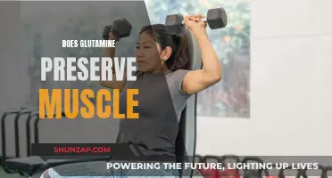 Glutamine: The Muscle-Preserving Super-Supplement?