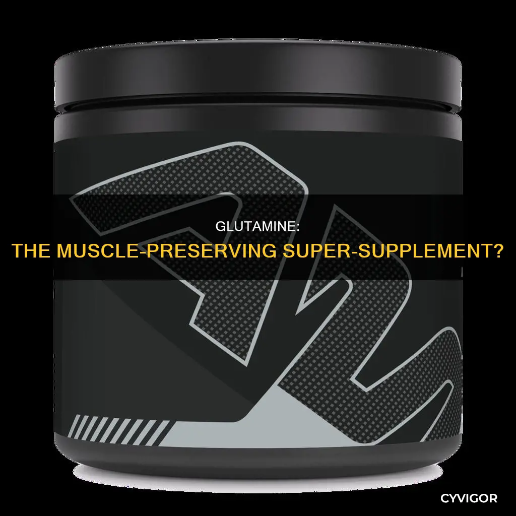 does glutamine preserve muscle