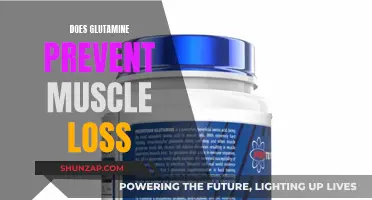 Glutamine: Effective Supplement to Prevent Muscle Loss?