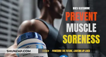 Glutamine: Effective Solution to Prevent Muscle Soreness?