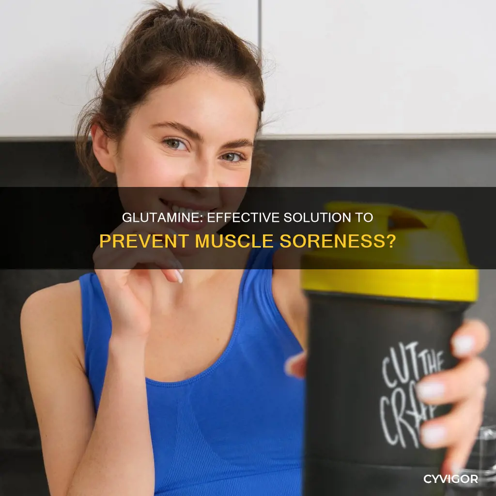 does glutamine prevent muscle soreness