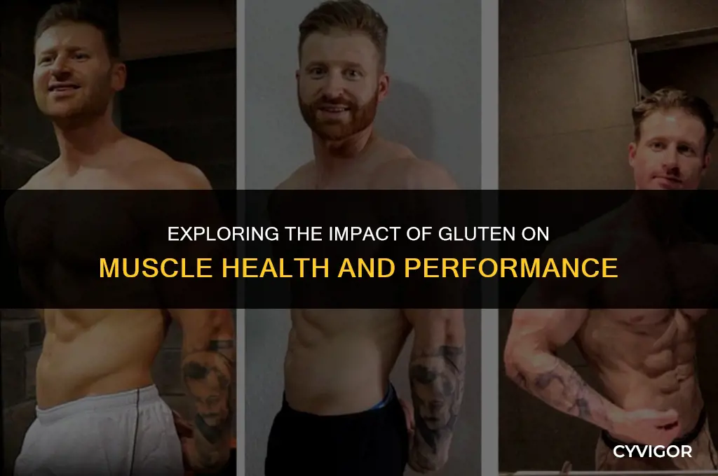 does gluten affect muscles