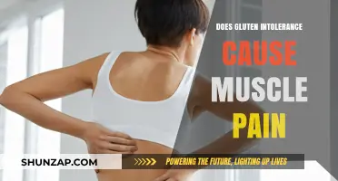 Gluten Intolerance: Can It Cause Muscle Pain?