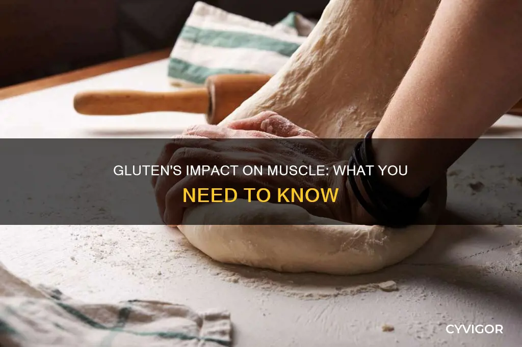 does gluten reduce muscle