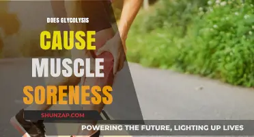 How Glycolysis Influences Muscle Soreness and Recovery