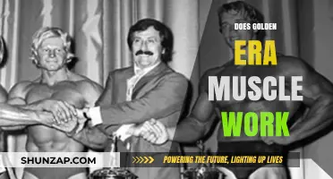 Golden Era Muscle Training: Effective for Modern Fitness Goals?