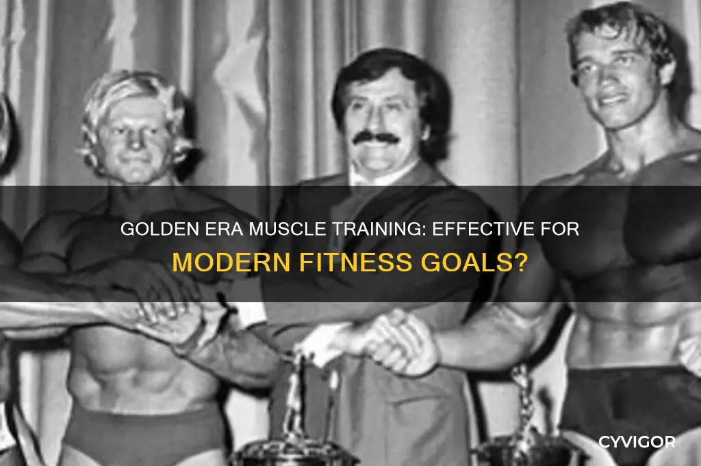 does golden era muscle work